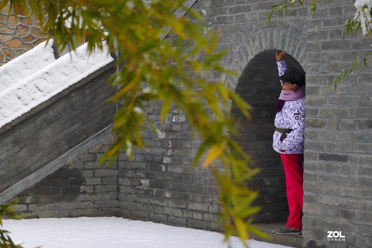 北京紫竹园公园的雪