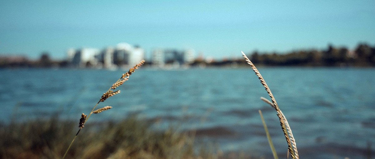 Z50 套头  美兰湖