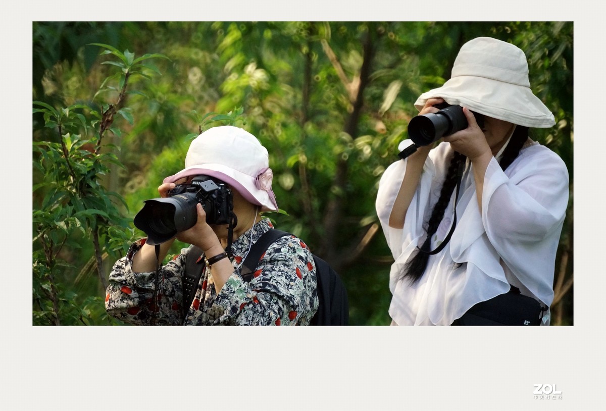 摄影交流，切磋技艺