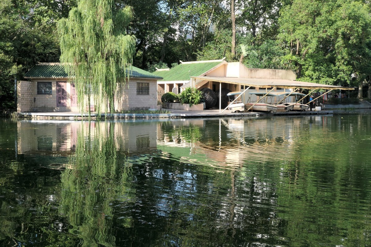 【蓝天下的莲花】——摄于上海天山公园