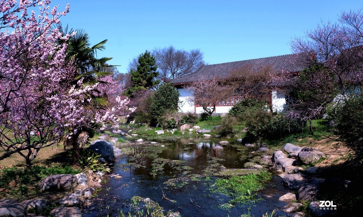 武漢東湖風景區梅花園