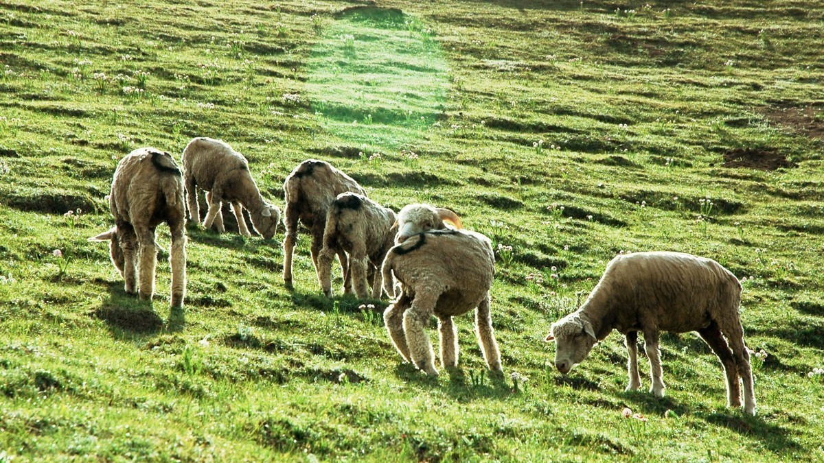 甘肃天祝藏族自治县石门景区掠影