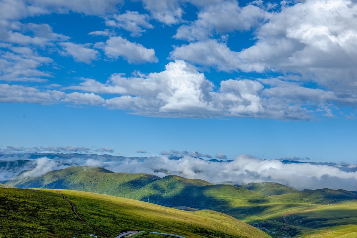 四川甘孜州塔公草原
