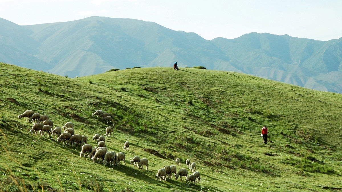 甘肃天祝藏族自治县石门景区掠影