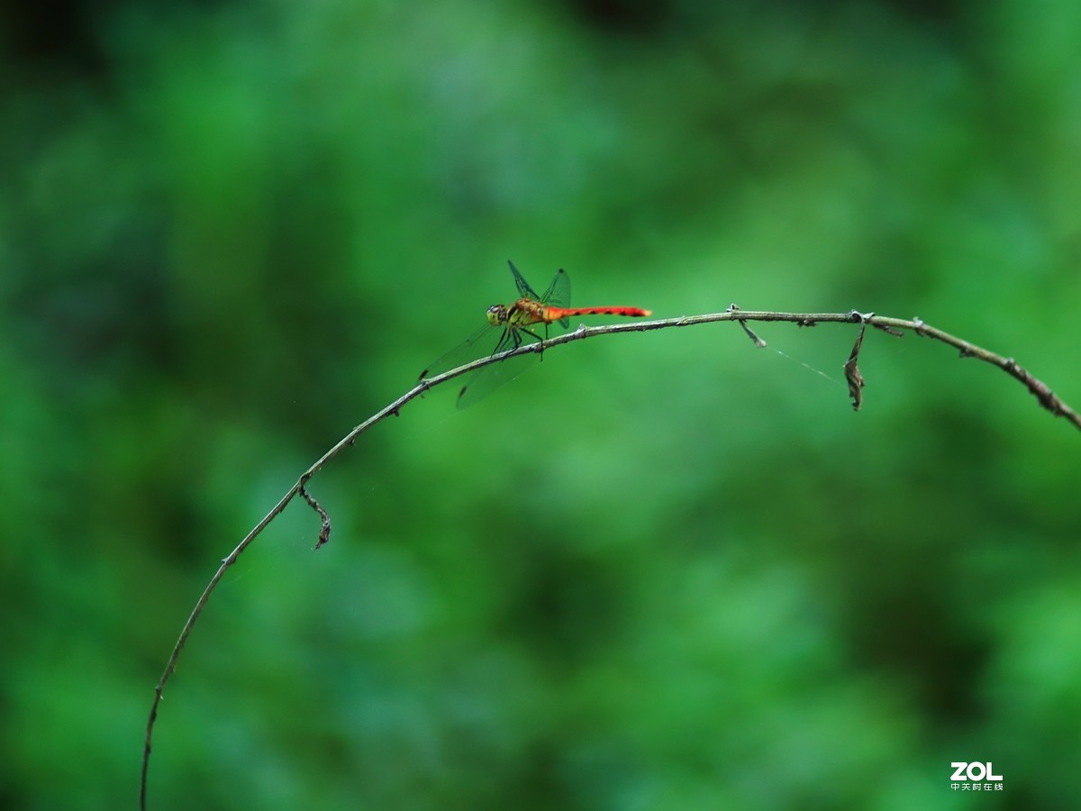 第一次发了空帖，学发一次