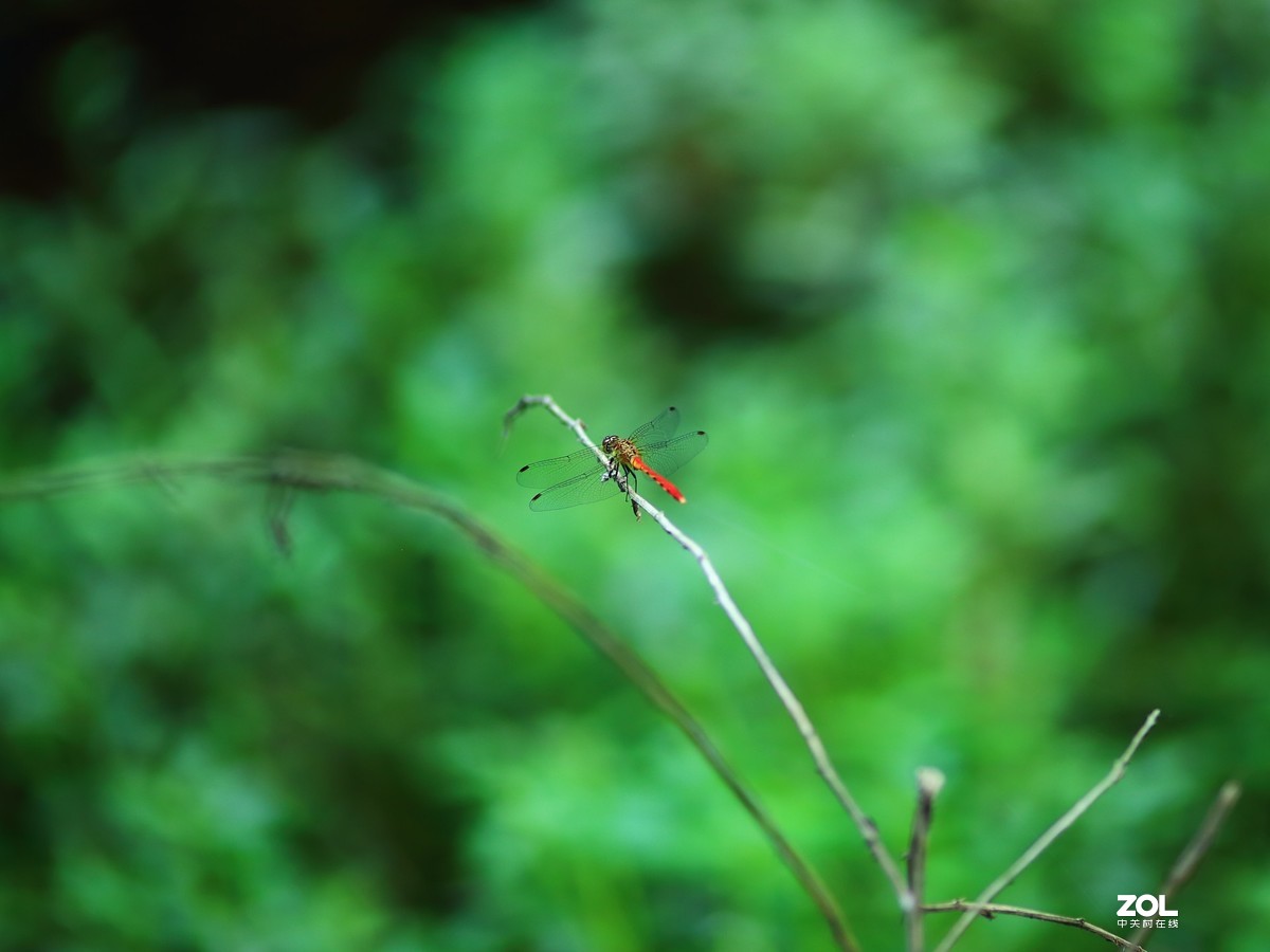 第一次发了空帖，学发一次