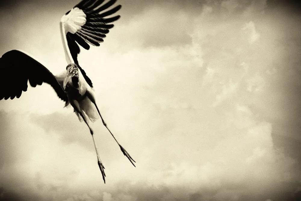 大赛画廊丨美国LensCulture旅行摄影大赛作品欣赏