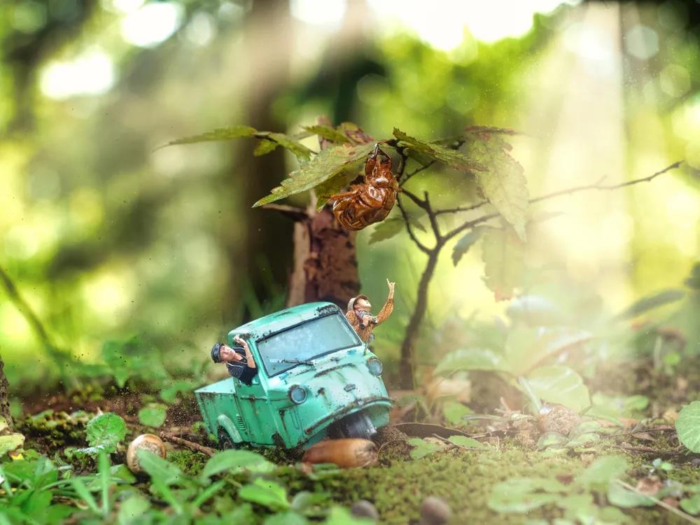 大赛画廊丨美国LensCulture旅行摄影大赛作品欣赏