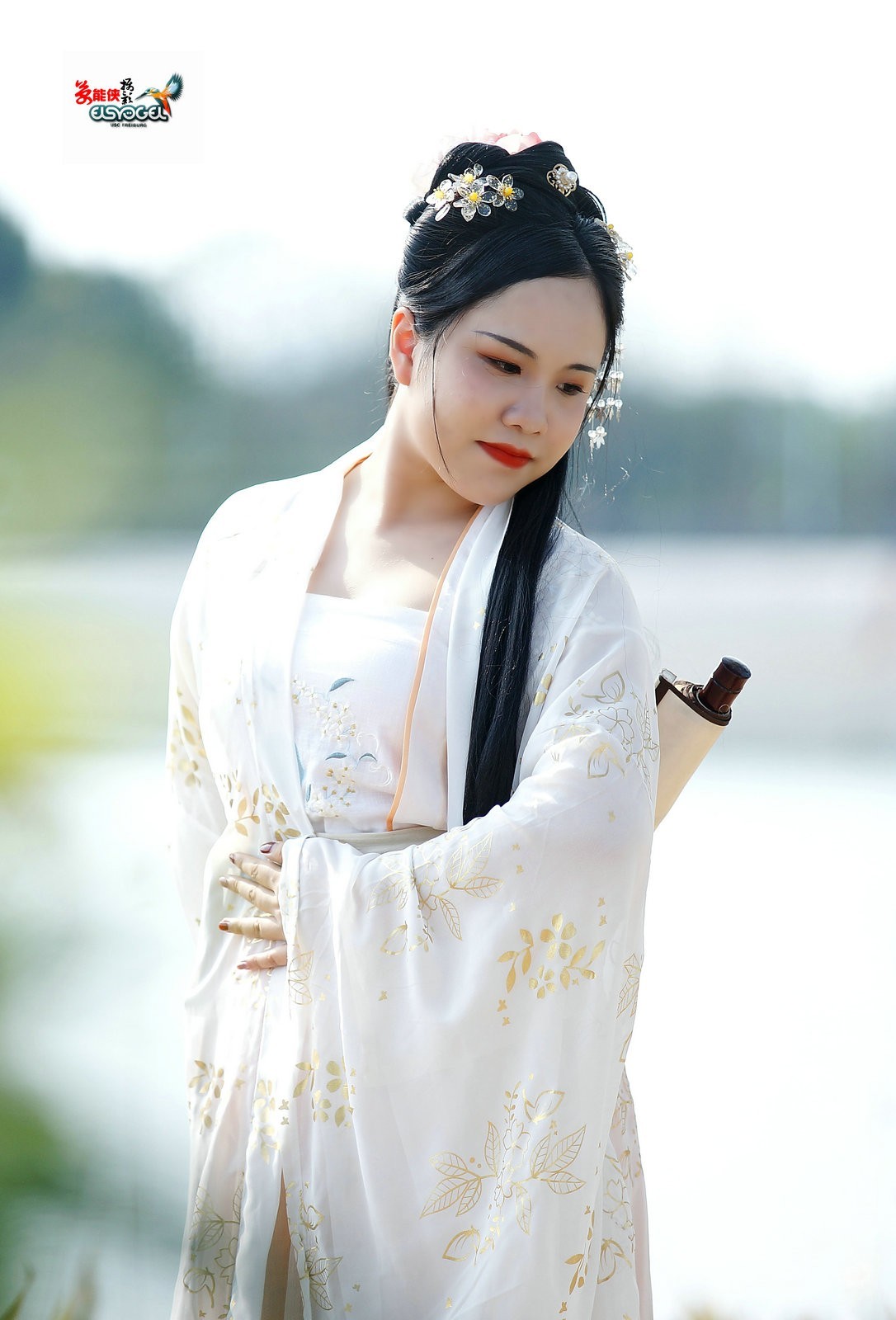 插图