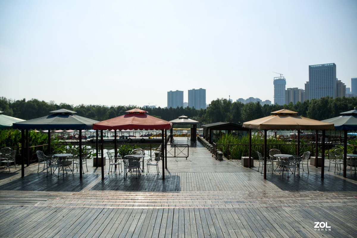 庐州漫记（316）塘西河公园祝大平原版主和师友健康平安燕赵板块红红火火