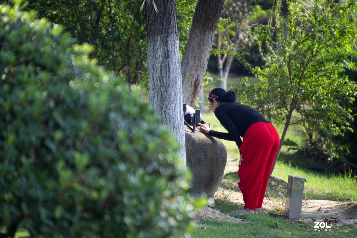 庐州漫记（316）塘西河公园祝大平原版主和师友健康平安燕赵板块红红火火