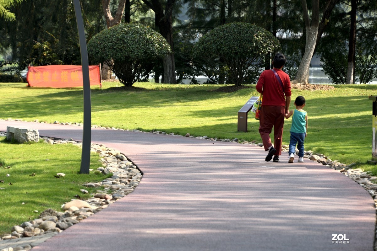 庐州漫记（316）塘西河公园祝大平原版主和师友健康平安燕赵板块红红火火