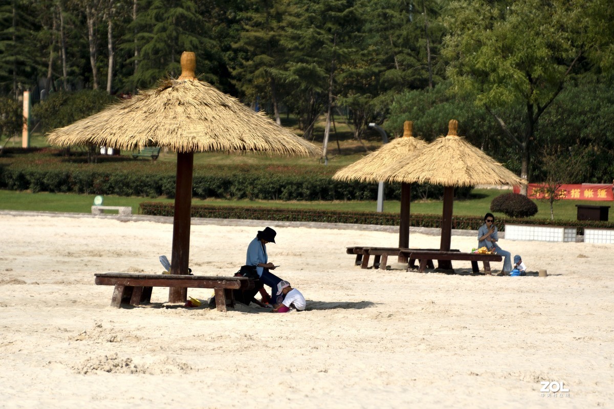 庐州漫记（316）塘西河公园祝大平原版主和师友健康平安燕赵板块红红火火