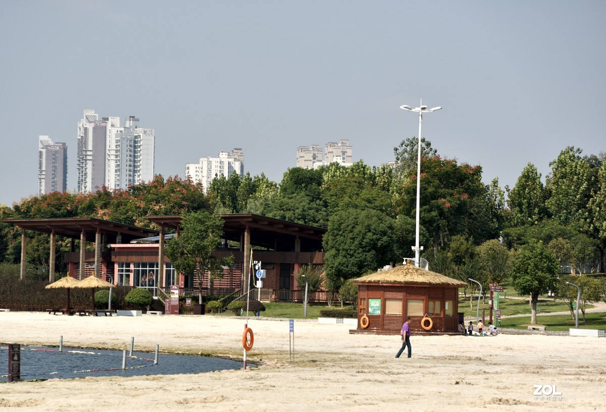 庐州漫记（316）塘西河公园祝大平原版主和师友健康平安燕赵板块红红火火