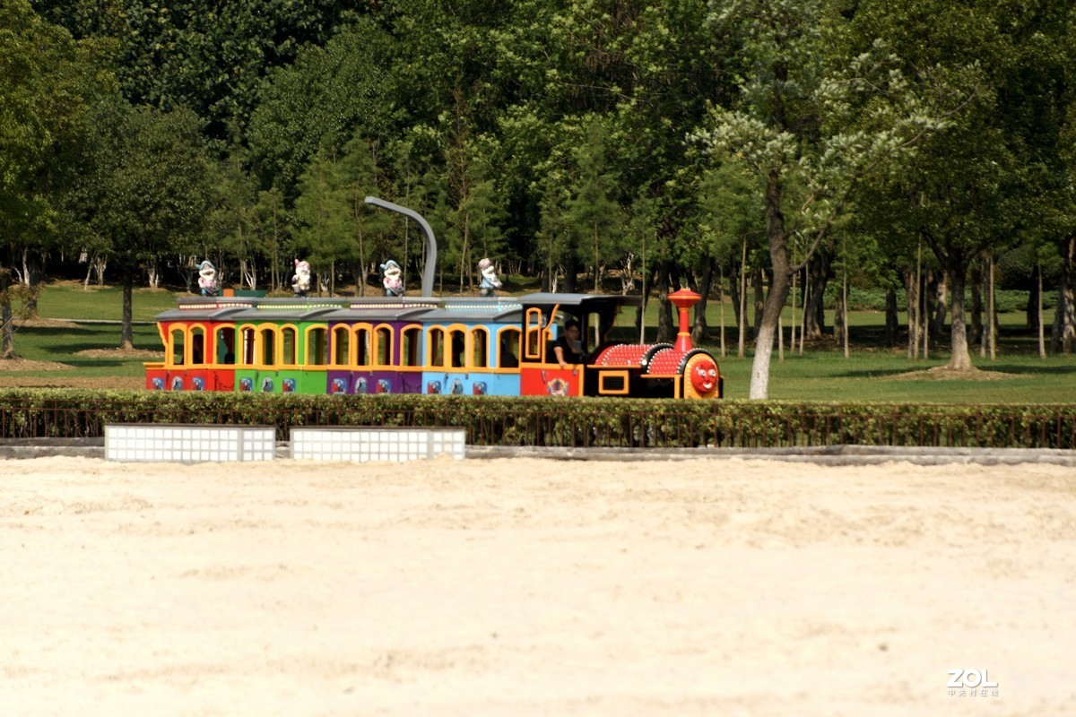 庐州漫记（316）塘西河公园祝大平原版主和师友健康平安燕赵板块红红火火