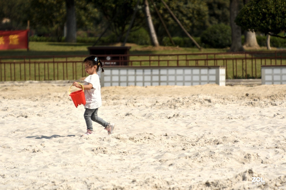 庐州漫记（316）塘西河公园祝大平原版主和师友健康平安燕赵板块红红火火