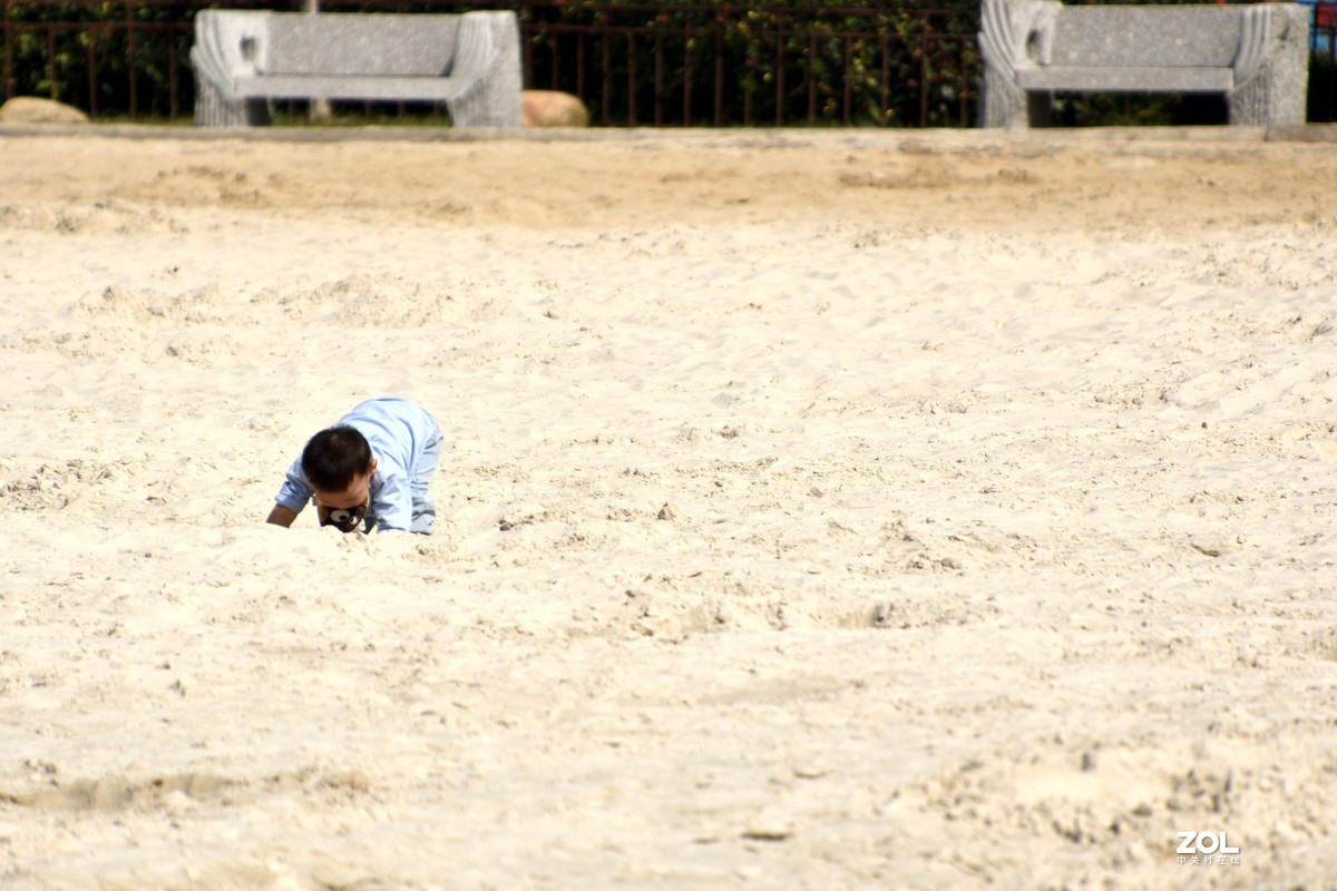 庐州漫记（316）塘西河公园祝大平原版主和师友健康平安燕赵板块红红火火