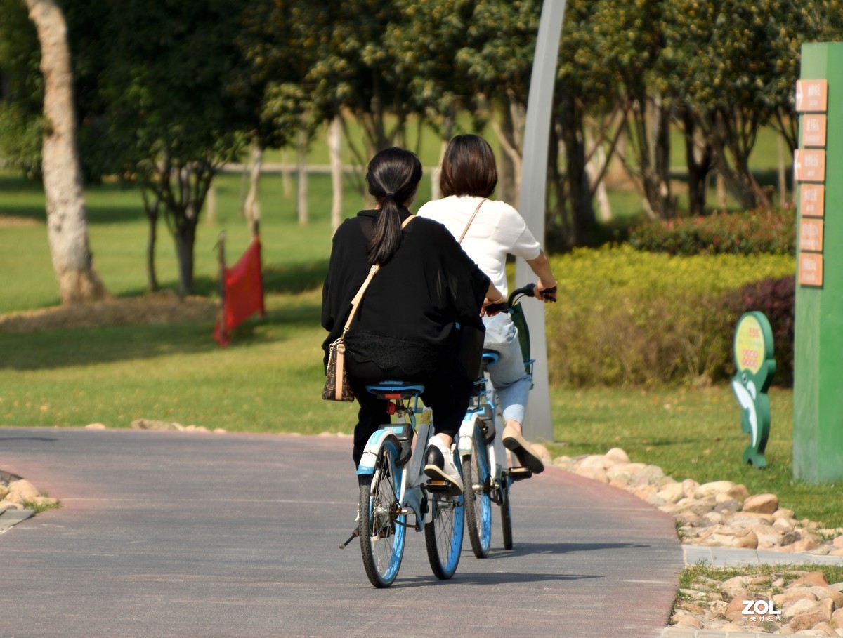 庐州漫记（316）塘西河公园祝大平原版主和师友健康平安燕赵板块红红火火