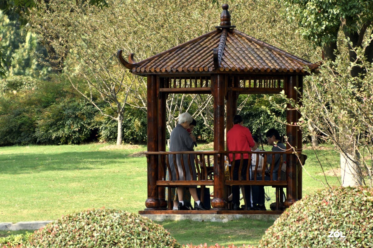 庐州漫记（316）塘西河公园祝大平原版主和师友健康平安燕赵板块红红火火