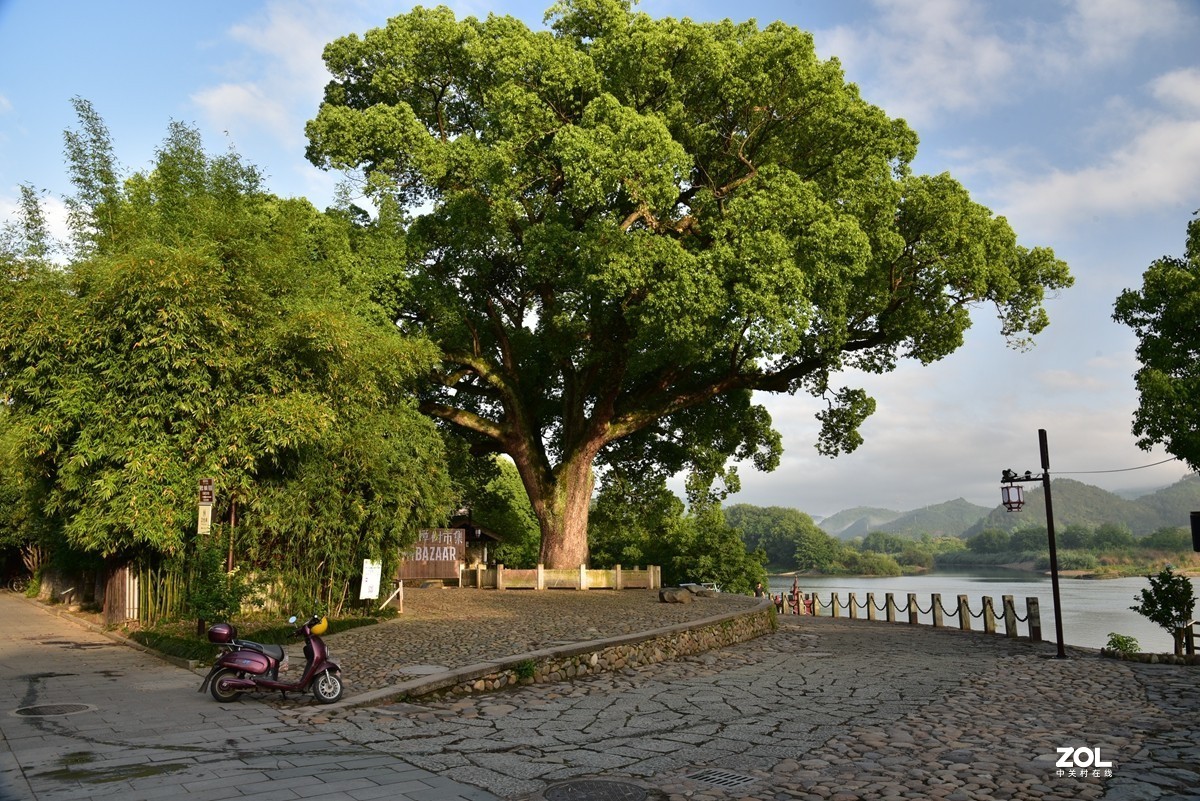 丽水莲都区古堰画乡