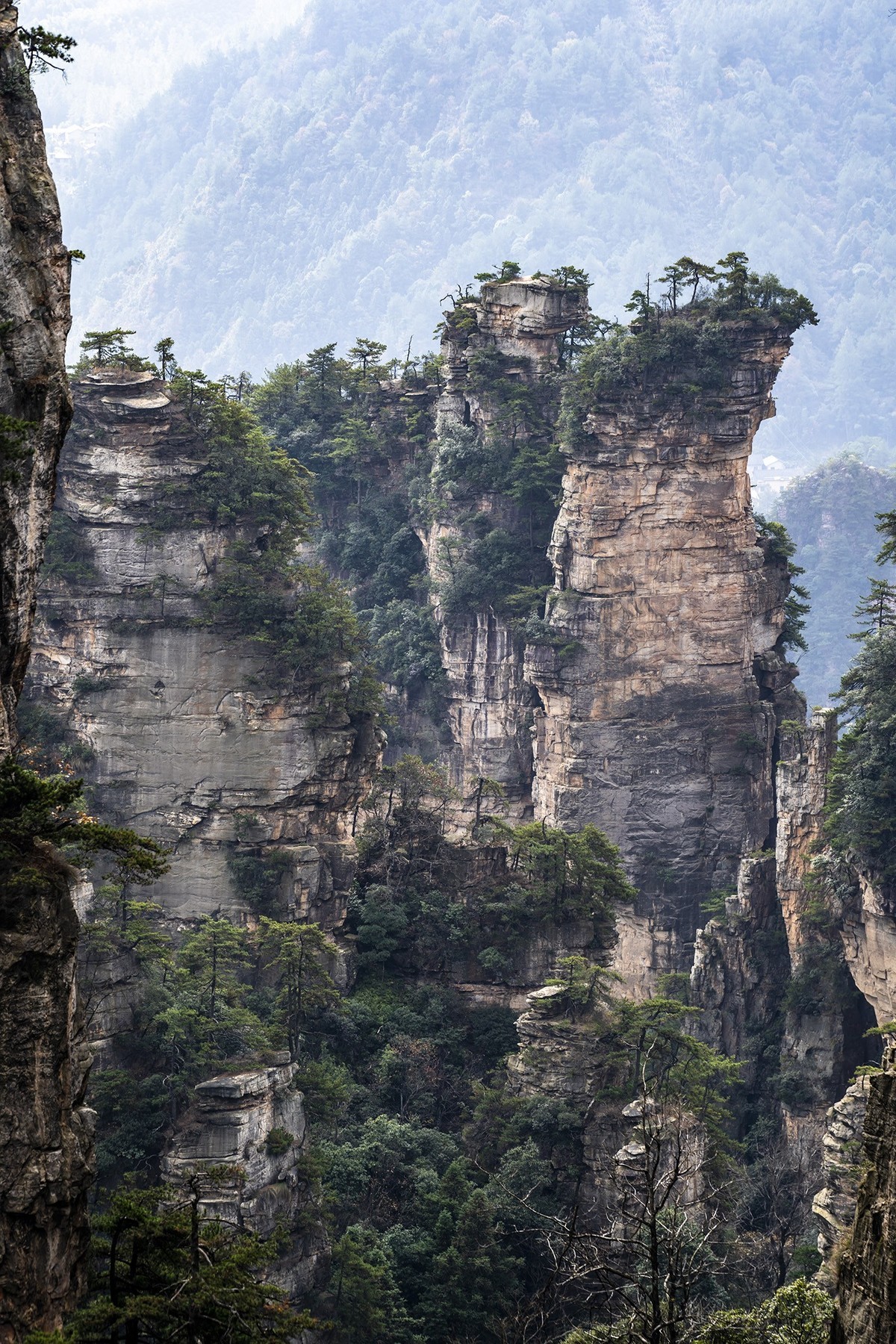 张家界:黄石寨景区3