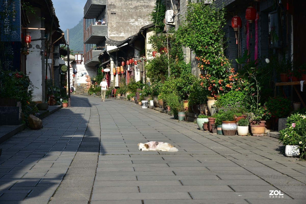 丽水莲都区古堰画乡