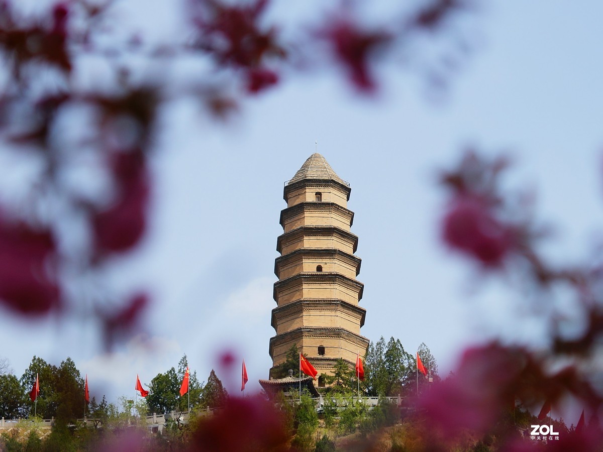 桃红柳绿映宝塔