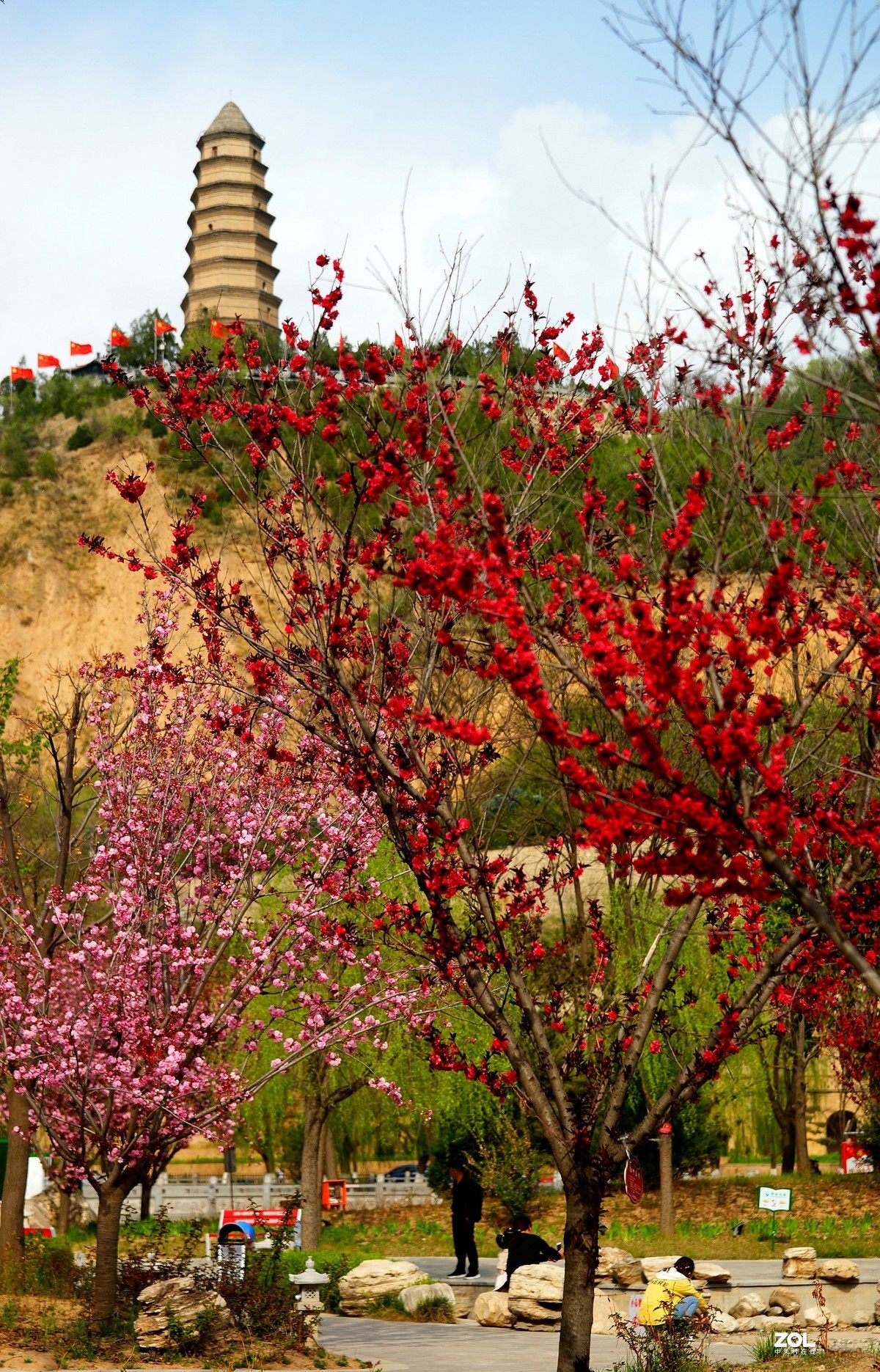 桃红柳绿映宝塔