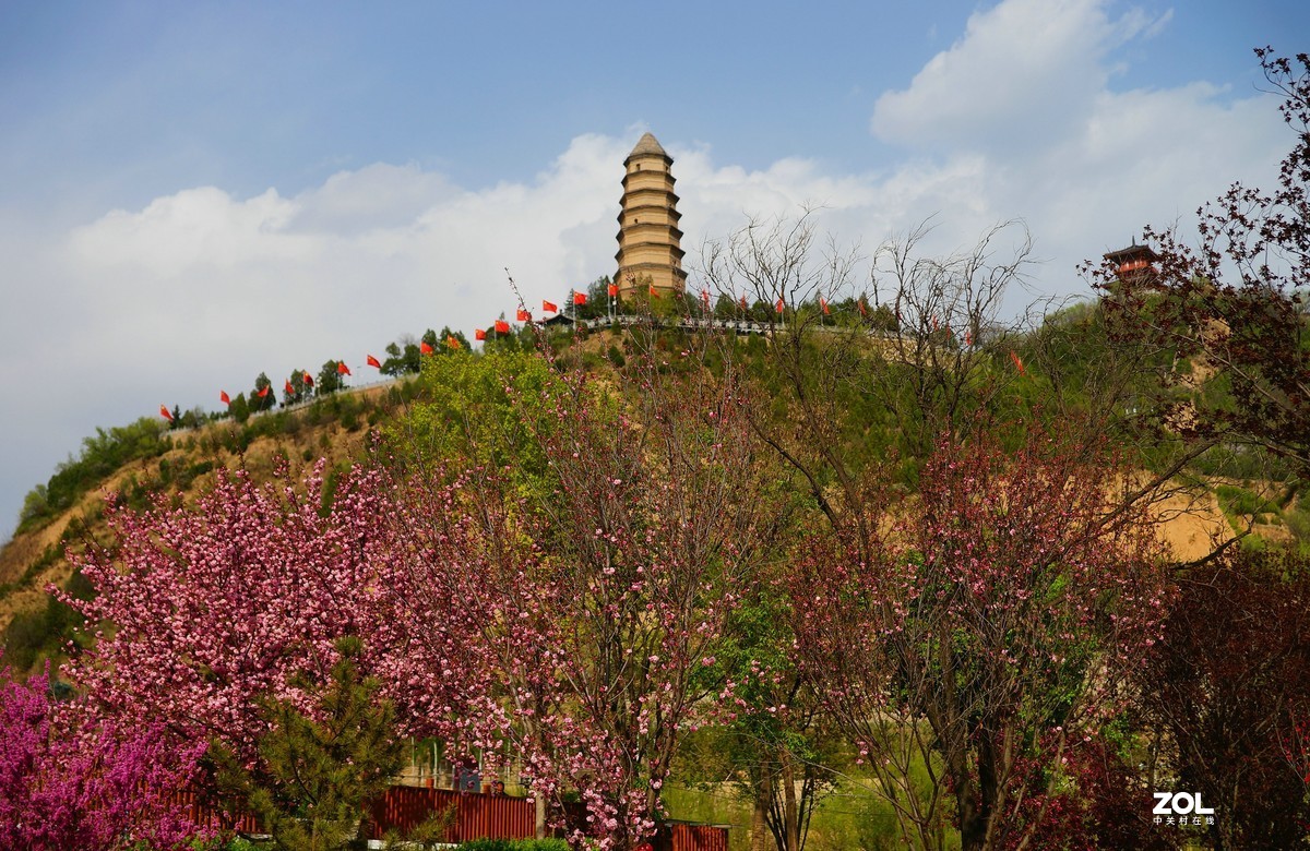 桃红柳绿映宝塔