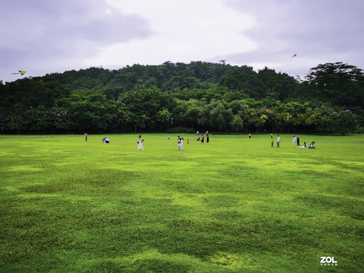 深圳莲花山公园掠影