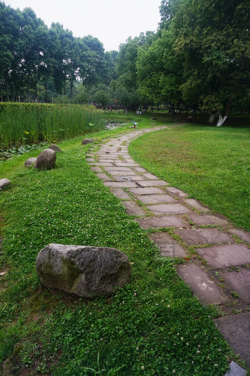 【家乡美】奔马石径草色新——武汉随笔