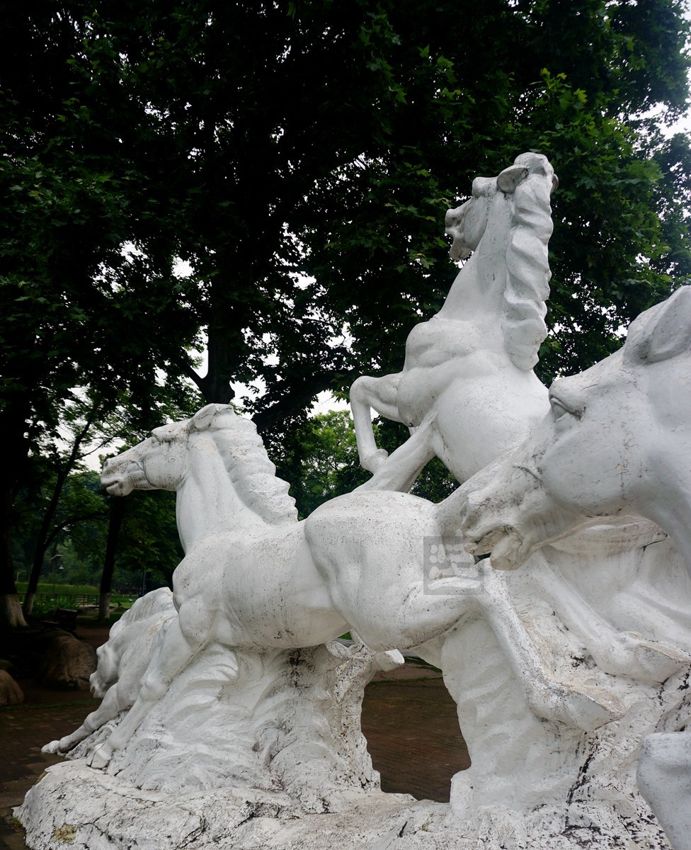 【家乡美】奔马石径草色新——武汉随笔