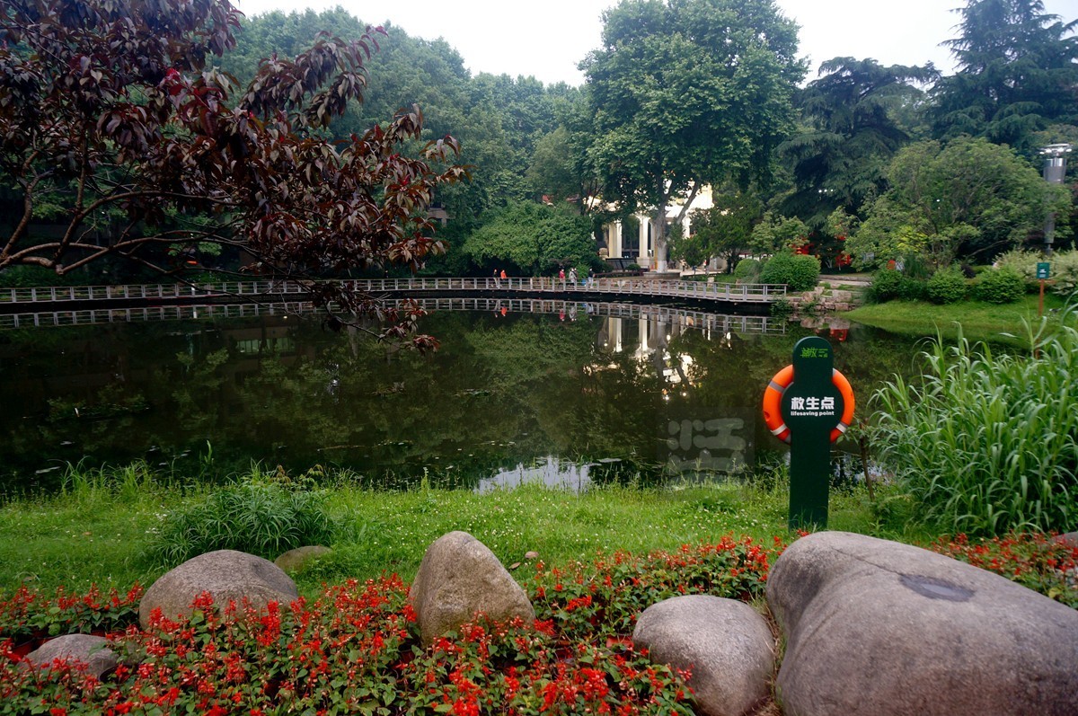 【家乡美】奔马石径草色新——武汉随笔