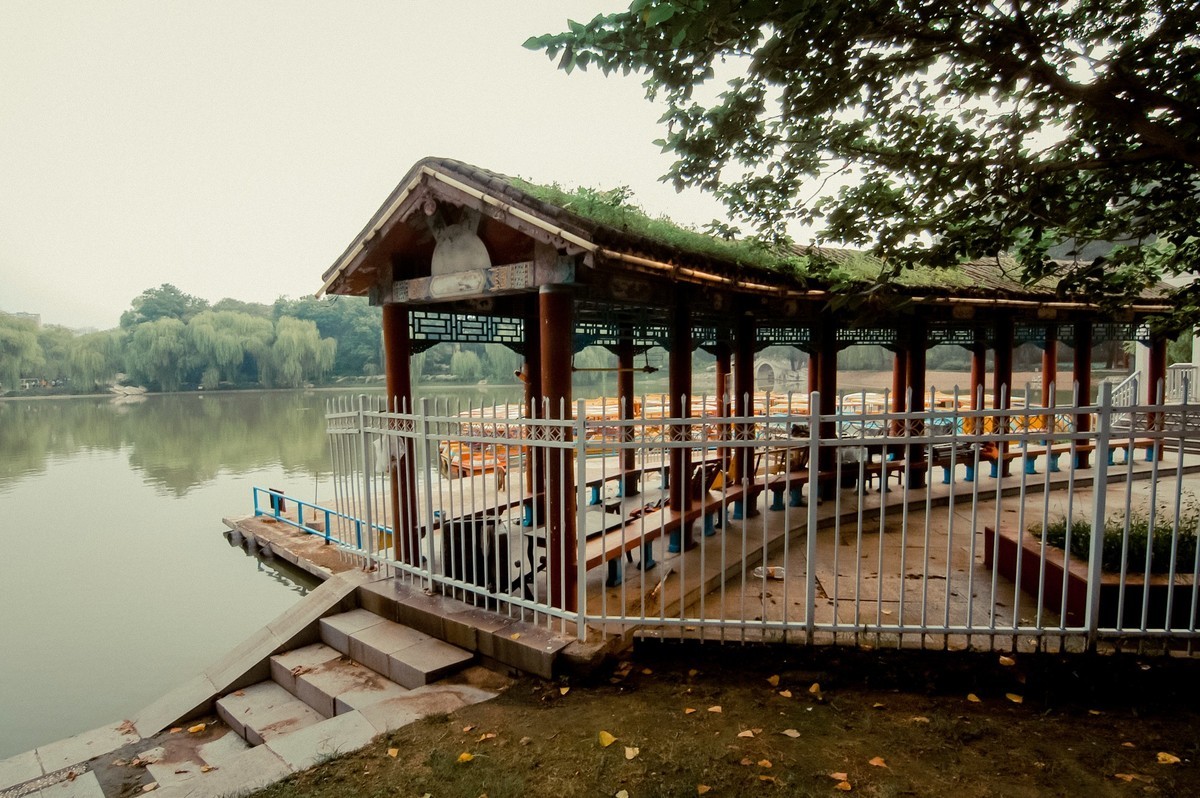 公园随拍  【尼康D100+图丽11-16】