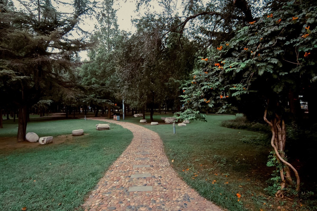 公园随拍  【尼康D100+图丽11-16】