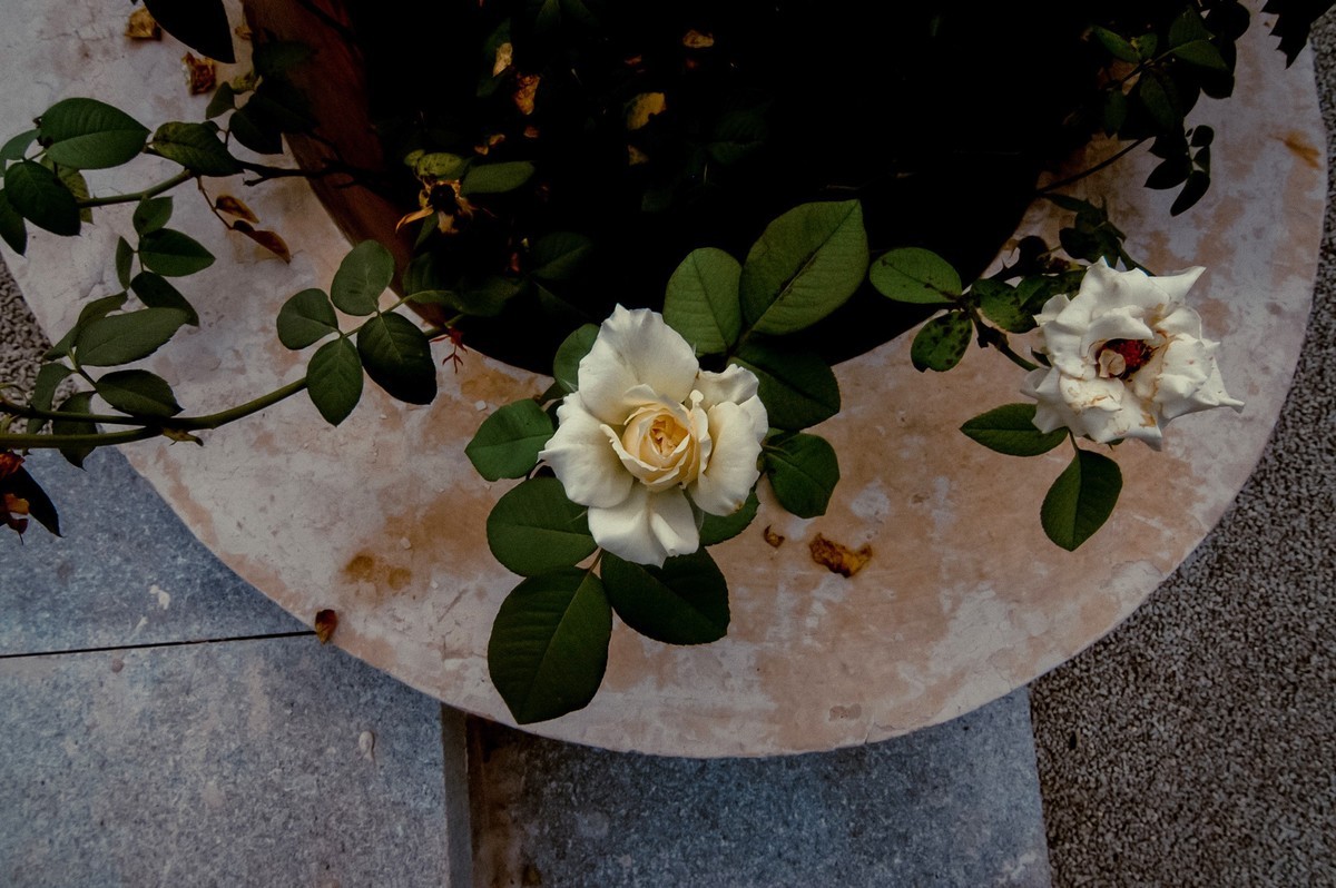 公园随拍  【尼康D100+图丽11-16】