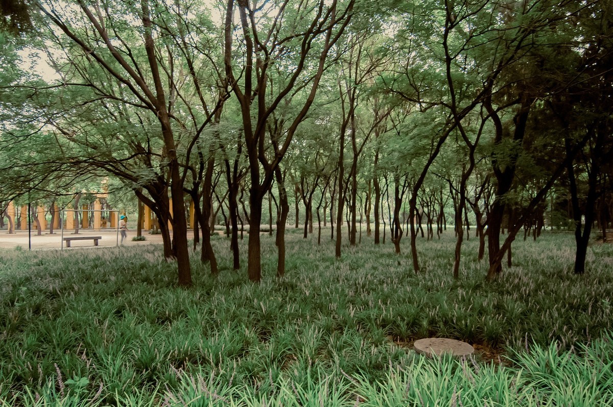 公园随拍  【尼康D100+图丽11-16】