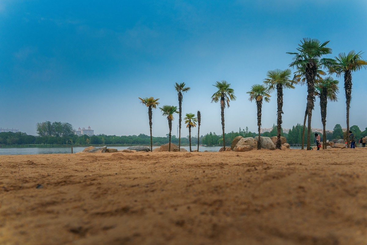 从日出到日落，从春夏到秋冬