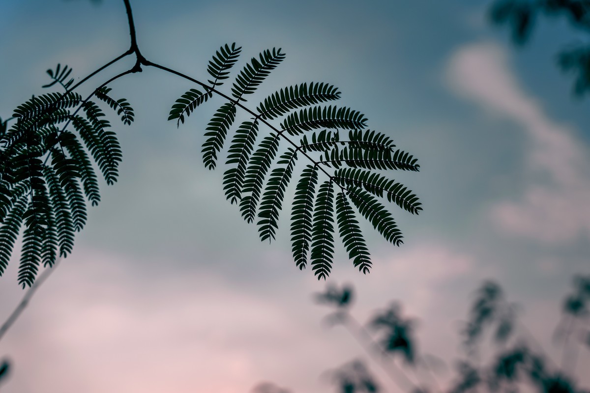 从日出到日落，从春夏到秋冬