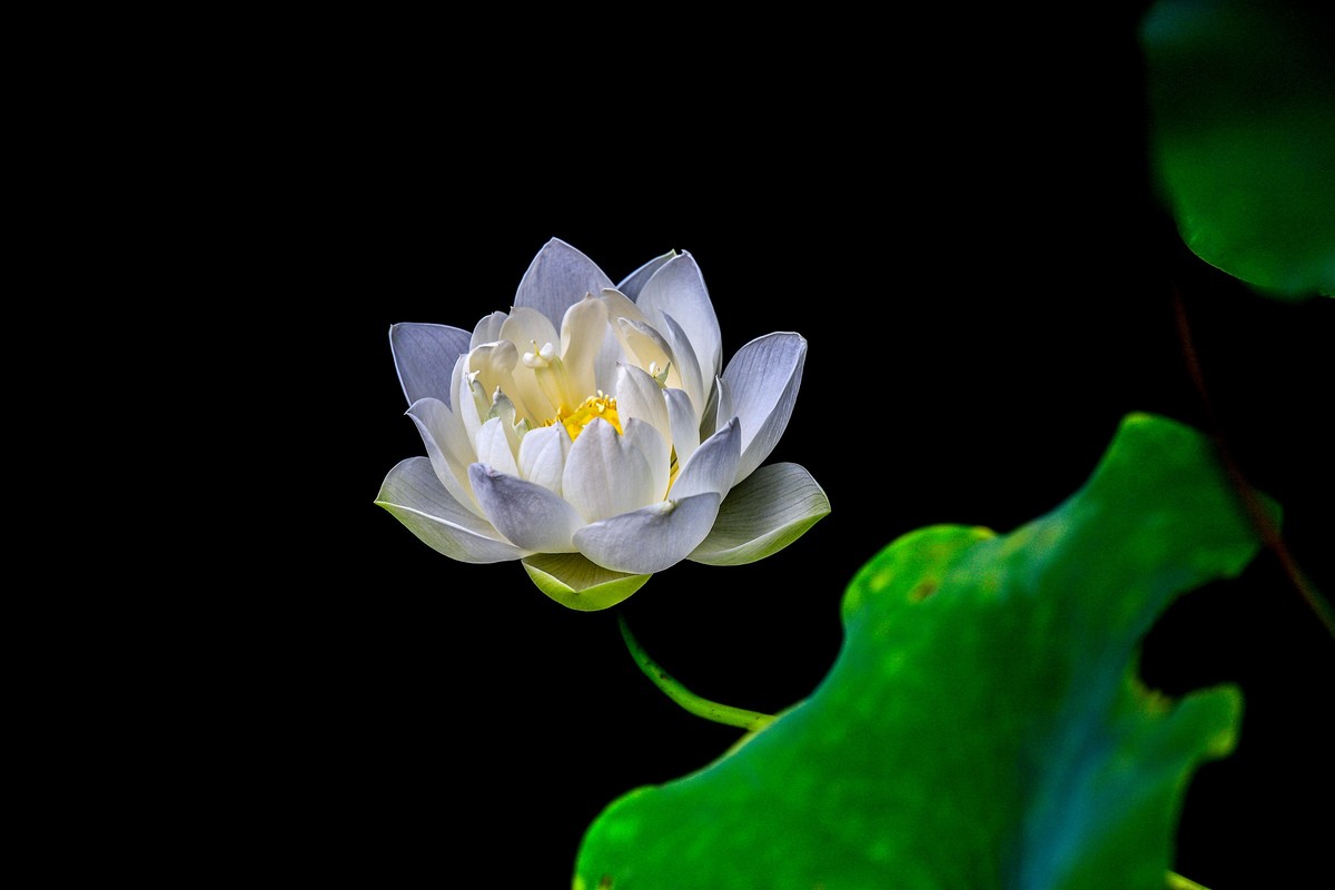 回顾拍照的过程