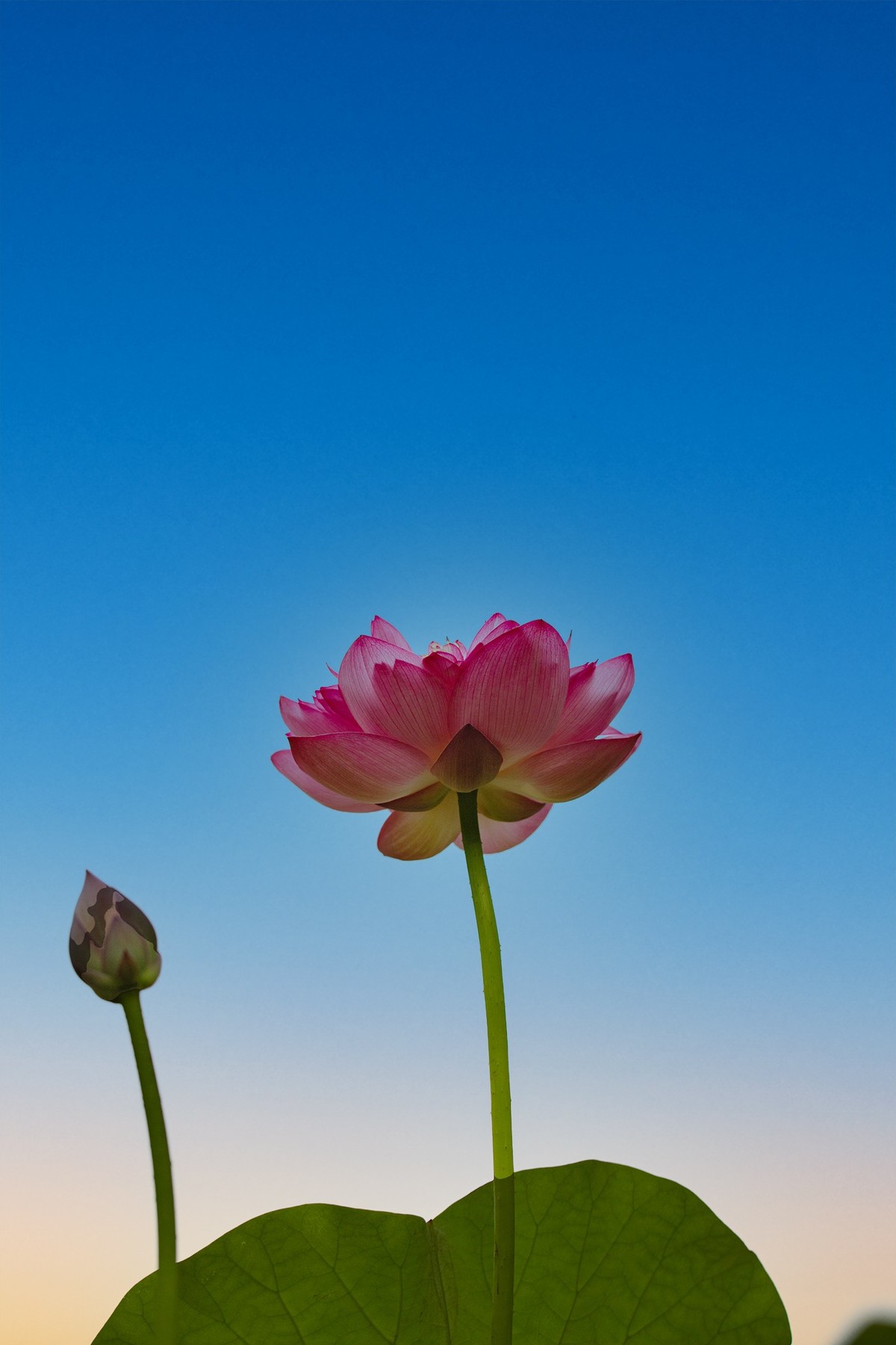 回顾拍照的过程