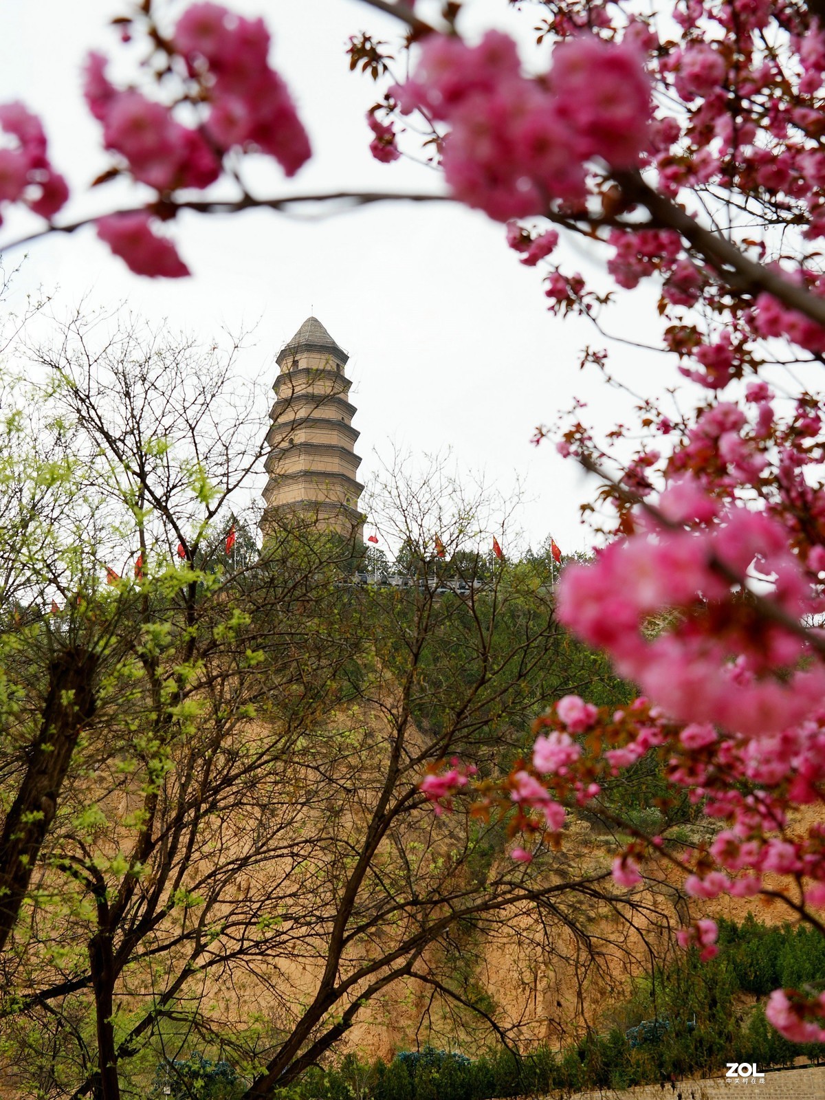 桃红柳绿映宝塔