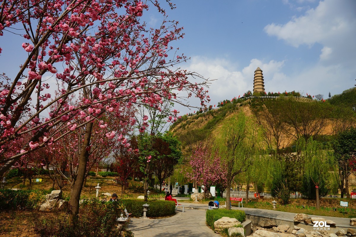 桃红柳绿映宝塔