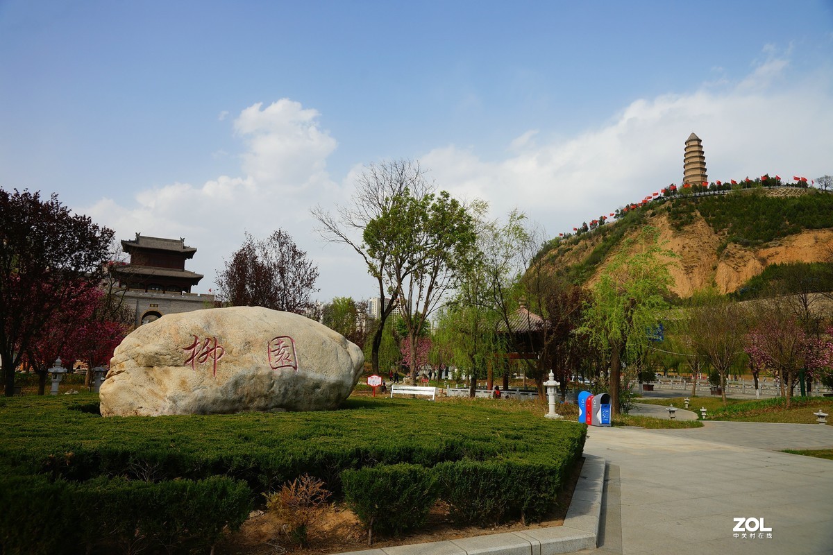 桃红柳绿映宝塔