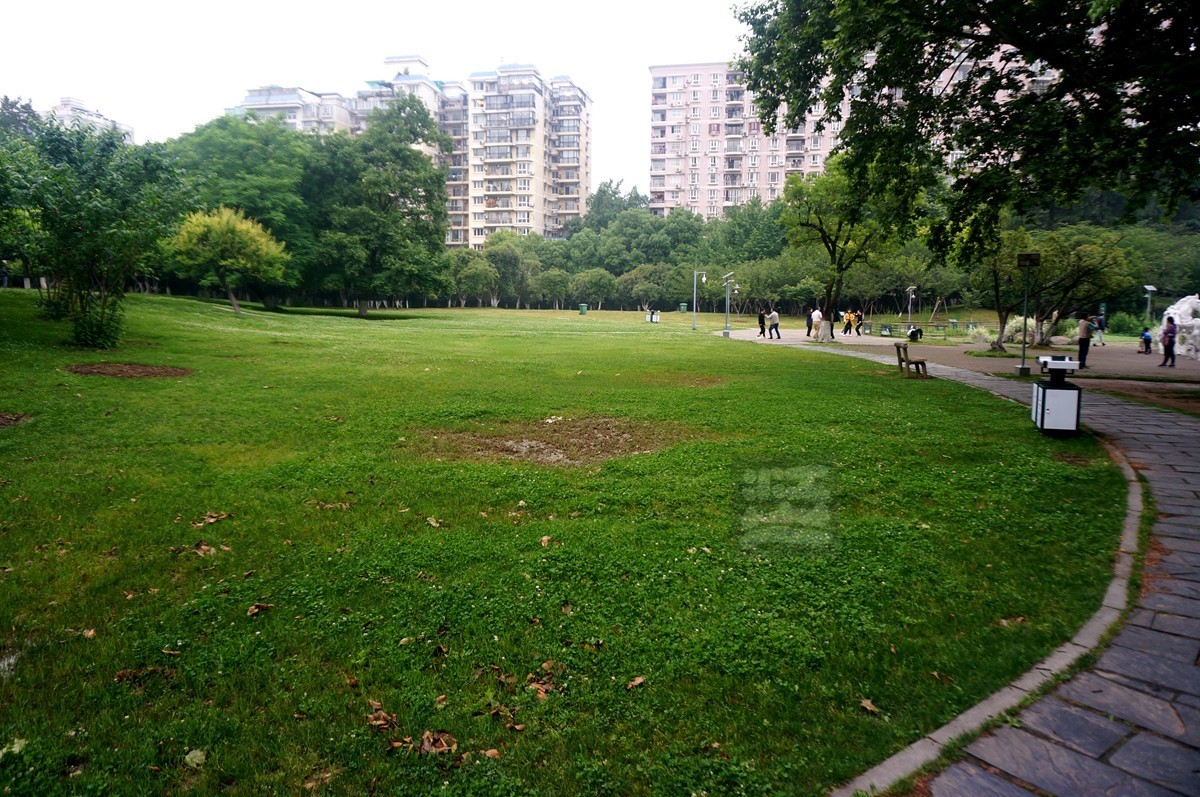 【家乡美】奔马石径草色新——武汉随笔