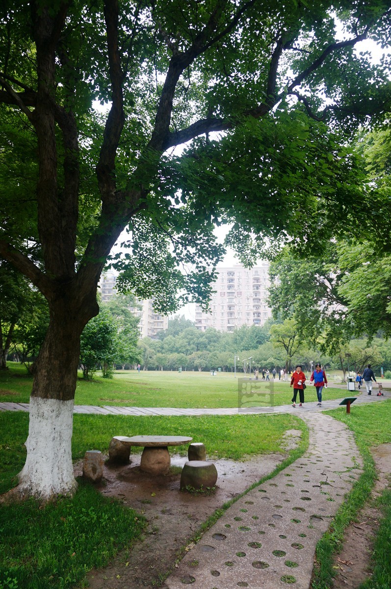 【家乡美】奔马石径草色新——武汉随笔