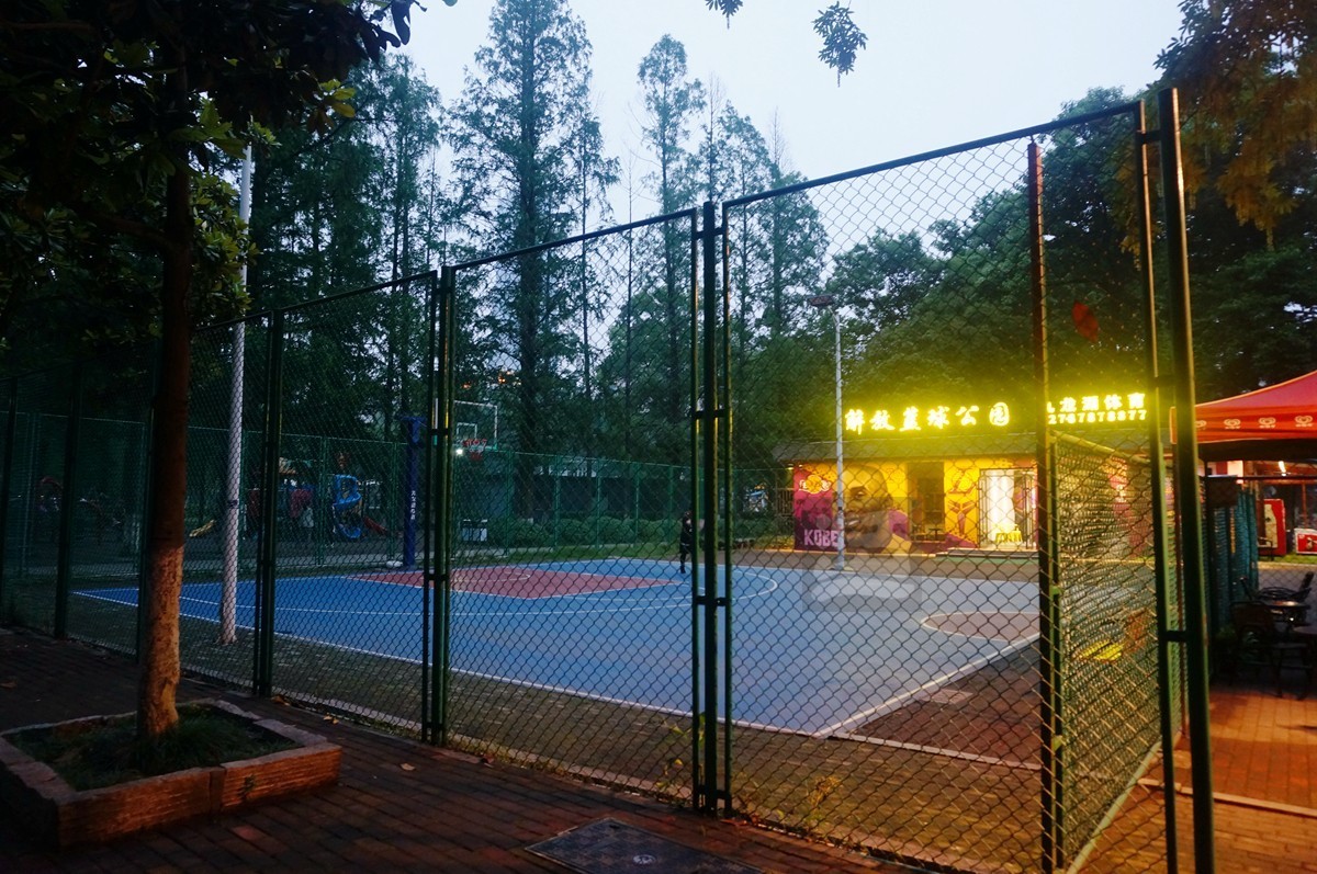 【家乡美】奔马石径草色新——武汉随笔