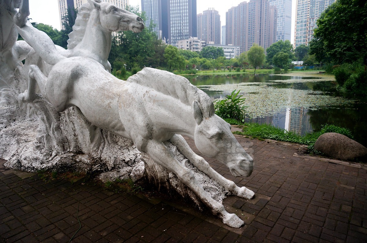 【家乡美】奔马石径草色新——武汉随笔