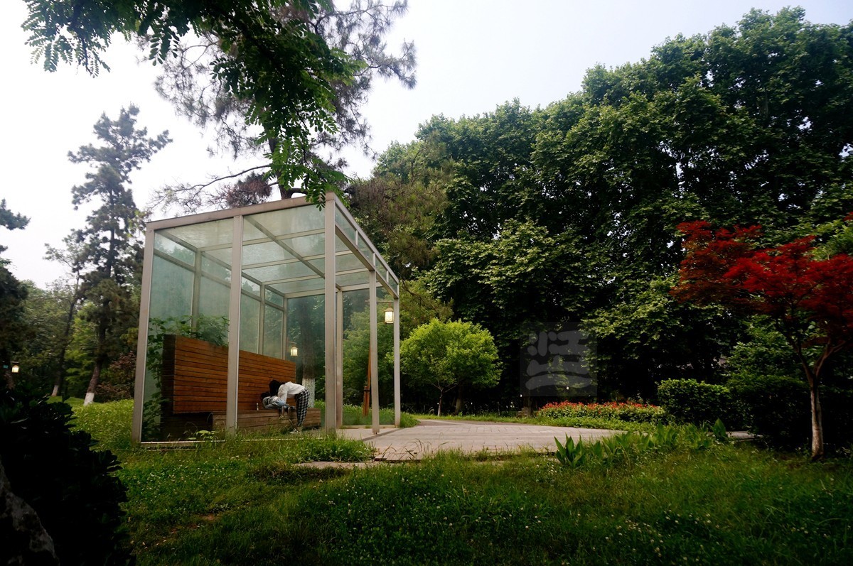 【家乡美】奔马石径草色新——武汉随笔