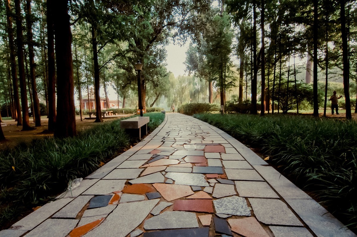 公园随拍  【尼康D100+图丽11-16】